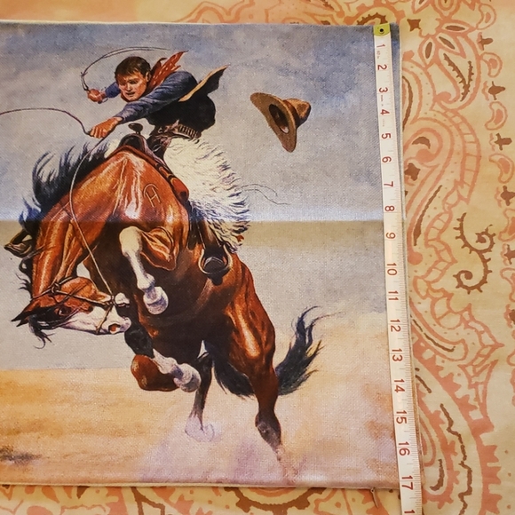 Western Pillow Cowboy Rodeo Horse Bronc Rider - Picture 10 of 11